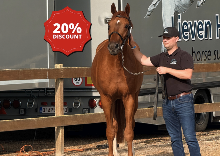20% Early Bird Discount for the 2027 Breeding Season 20% Early Bird Discount for the 2027 Breeding Season